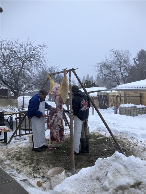 Image - 2026-01-13T135154.951